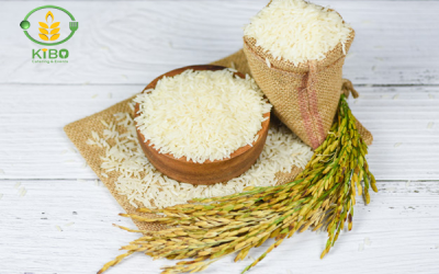 نکات پخت برنج