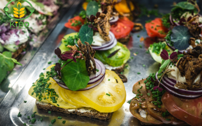 طرز تهیه انواع فینگرفود