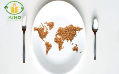 چطور از هدر رفتن مواد غذایی در منزل جلوگیری کنیم؟